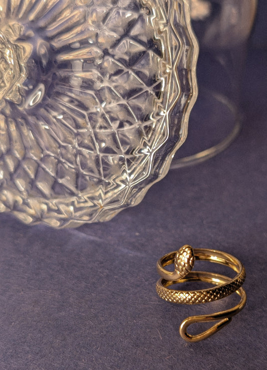 NIVA Coil Me Crazy Ring