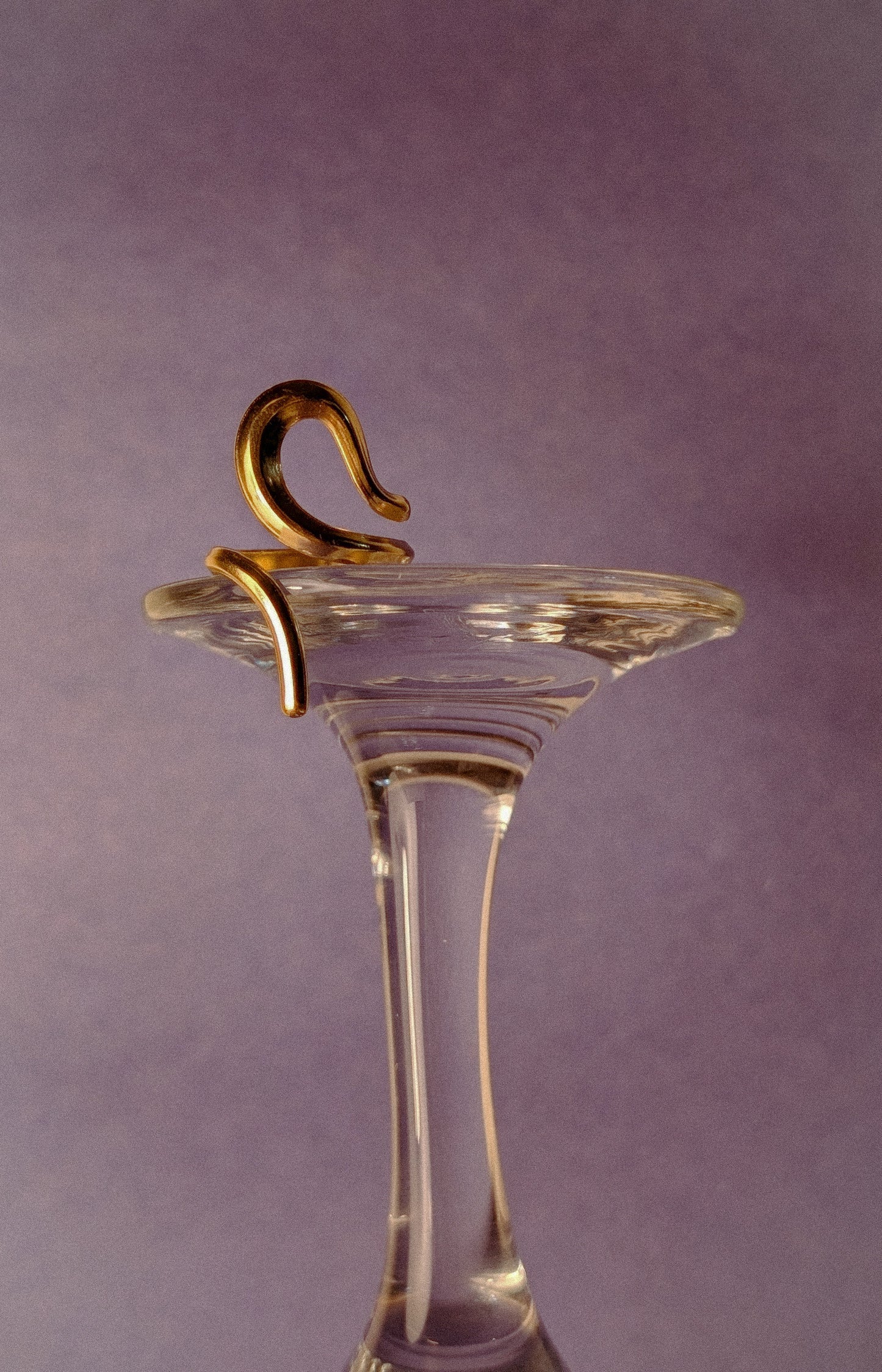 NIVA Goldie Loop Ring