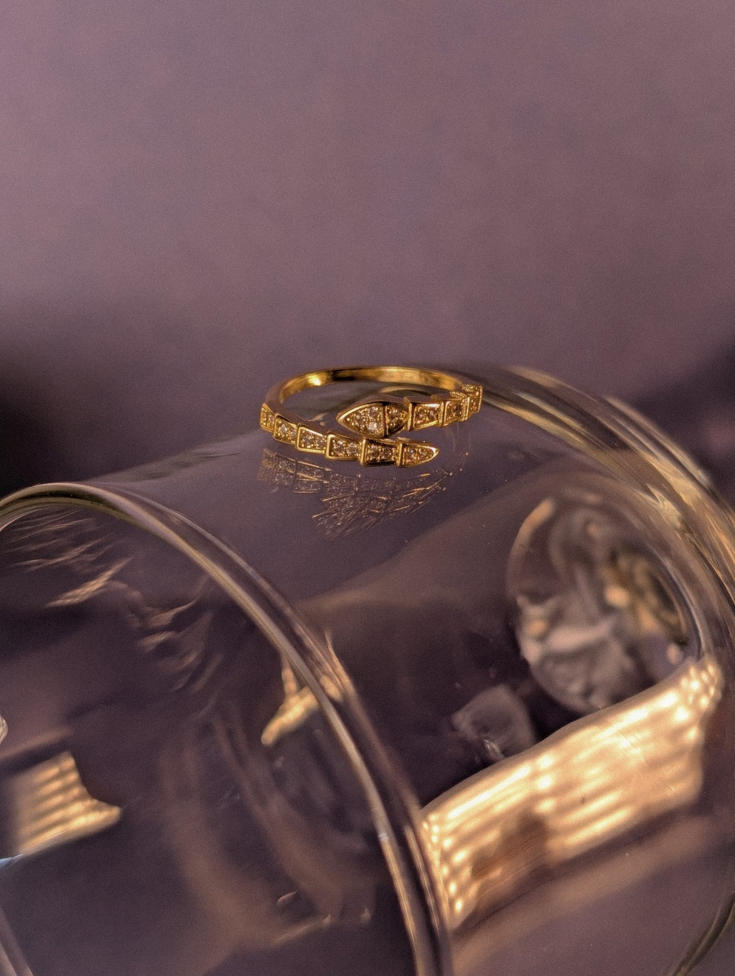NIVA Snaked & Stacked Ring