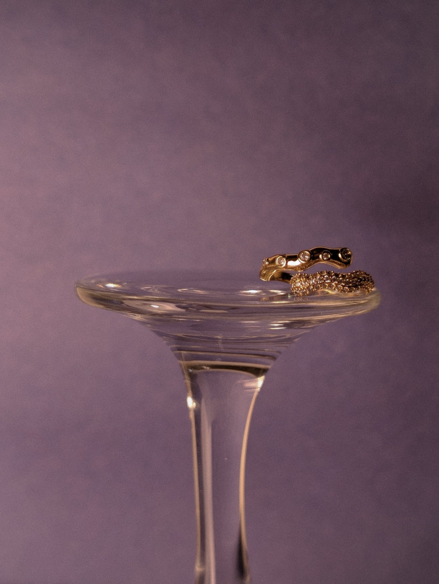 NIVA Twist & Sparkle Ring