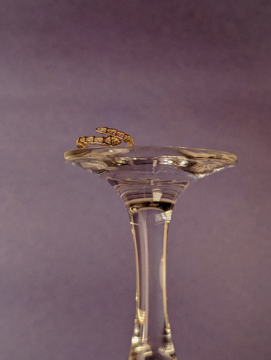 NIVA Snaked & Stacked Ring